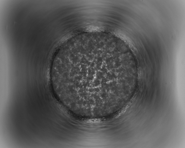X0000094170353200711091128
