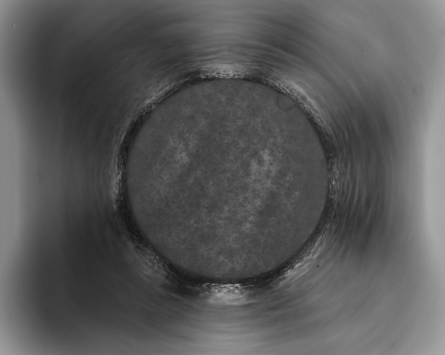 X0000094170355200711091128