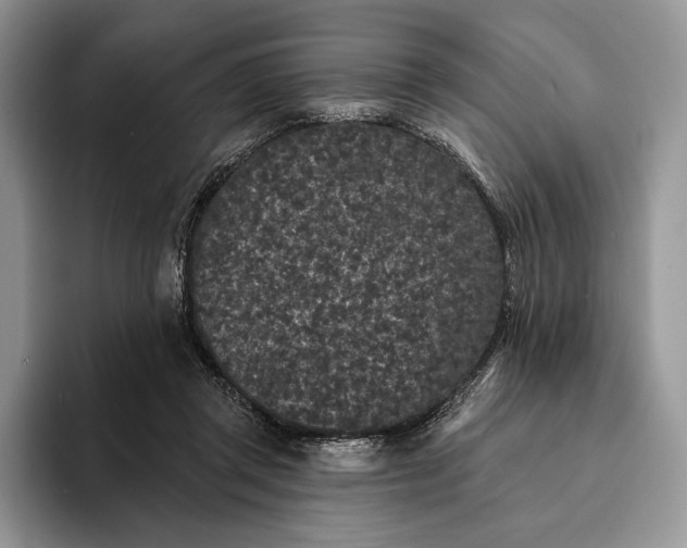 X0000094170357200711091128