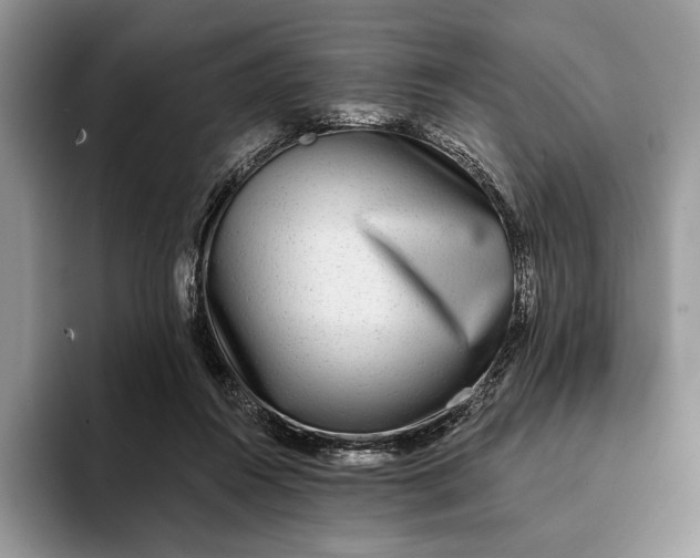 X0000094170360200711091128