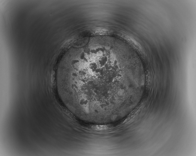 X0000094170361200711091128
