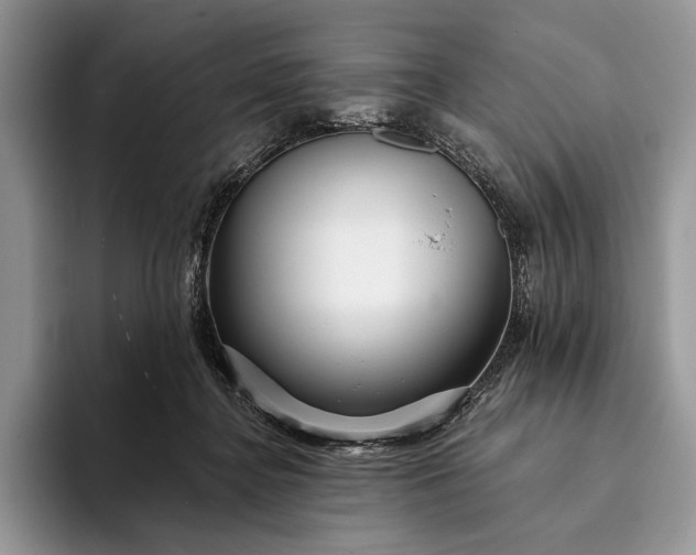 X0000094170364200711091128
