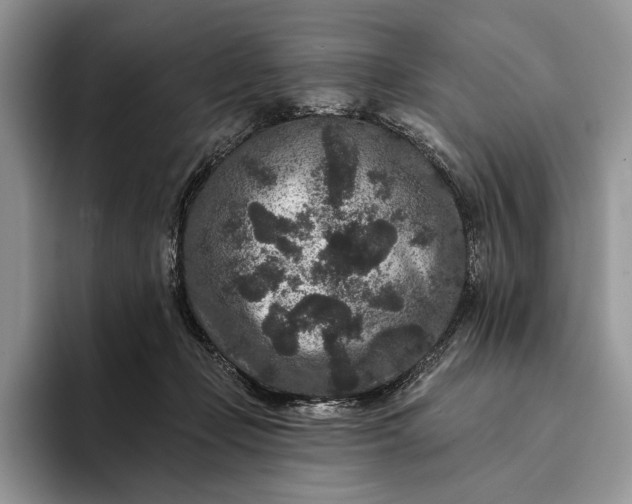 X0000094170365200711091128