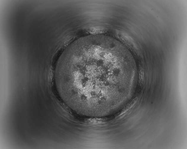 X0000094170367200711091128