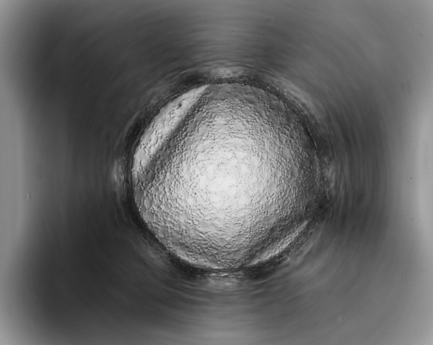 X0000094170373200711091129