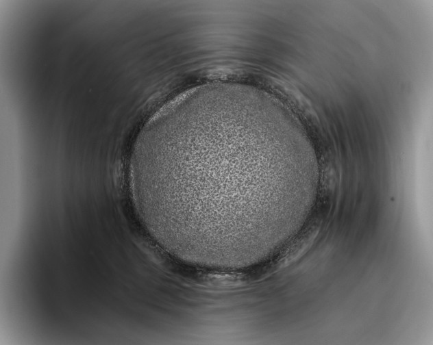 X0000094170375200711091129