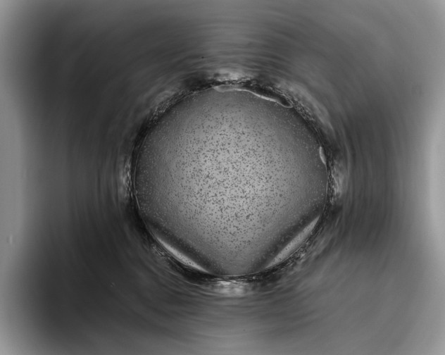 X0000094170376200711091129