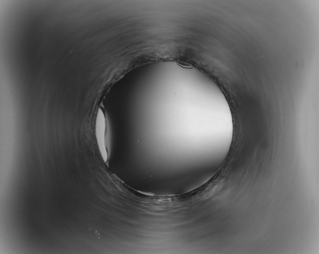 X0000094170384200711091129