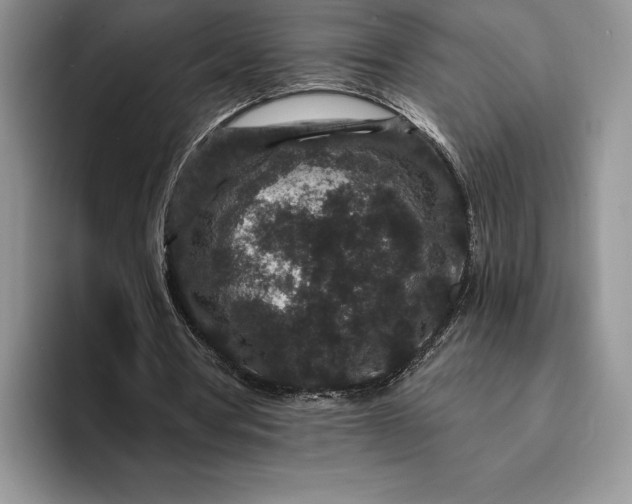 X0000094170386200711091128