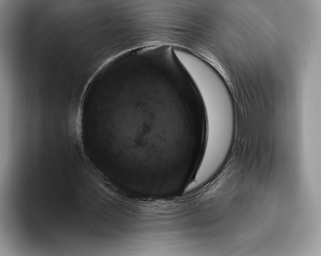 X0000094170387200711091128