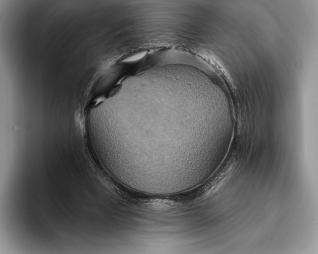 X0000094170393200711091128