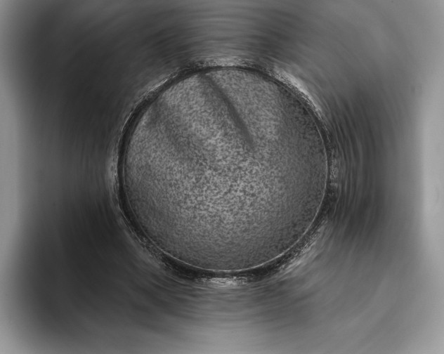 X0000094170394200711091128