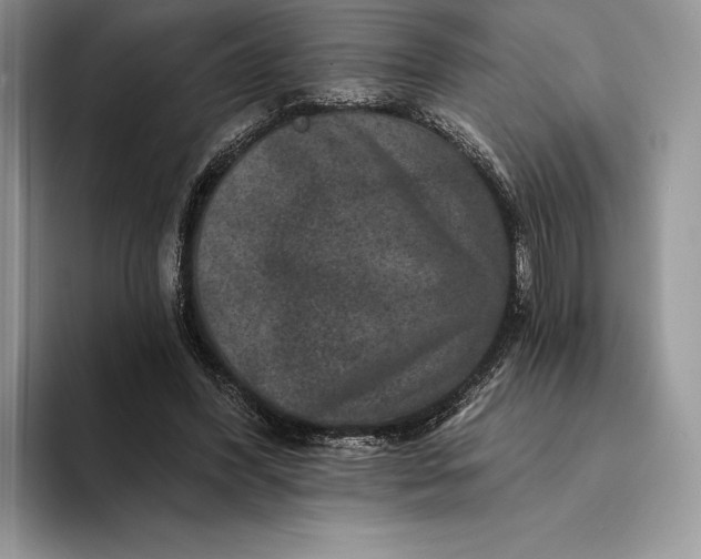 X0000094170396200711091128