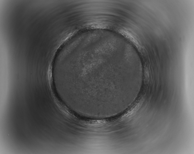 X0000094170398200711091128