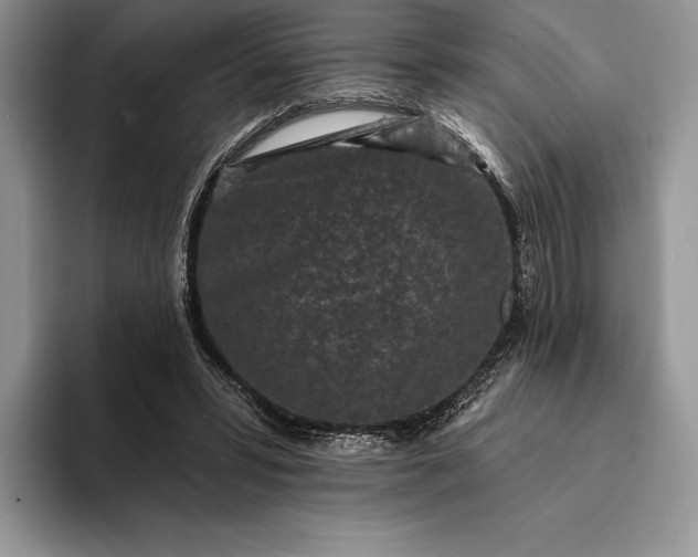X0000094170399200711091128