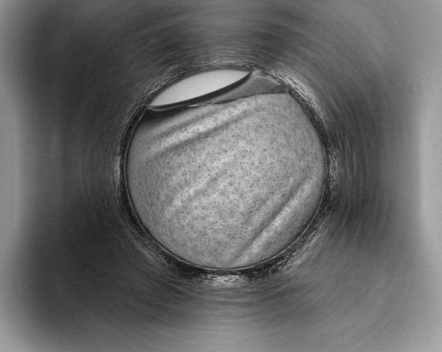 X0000094170401200711091128