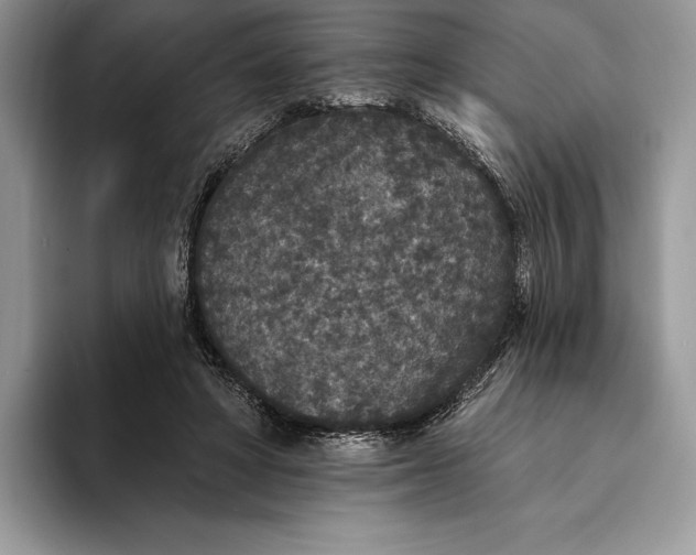 X0000094170402200711091128