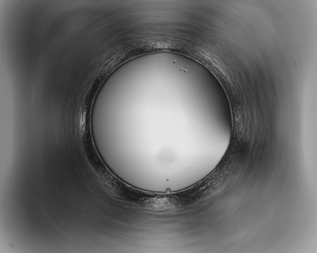 X0000094170406200711091128