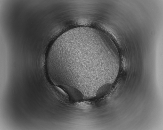 X0000094170407200711091128