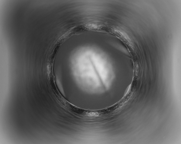 X0000094170409200711091128