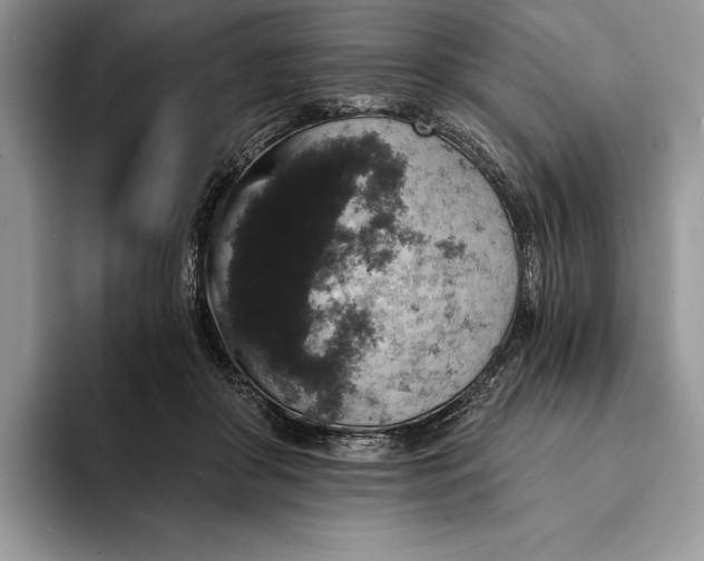 X0000094170410200711091128