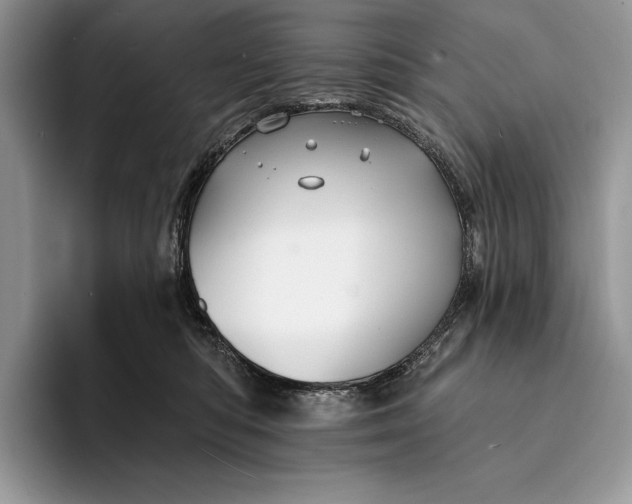 X0000094170422200711091127
