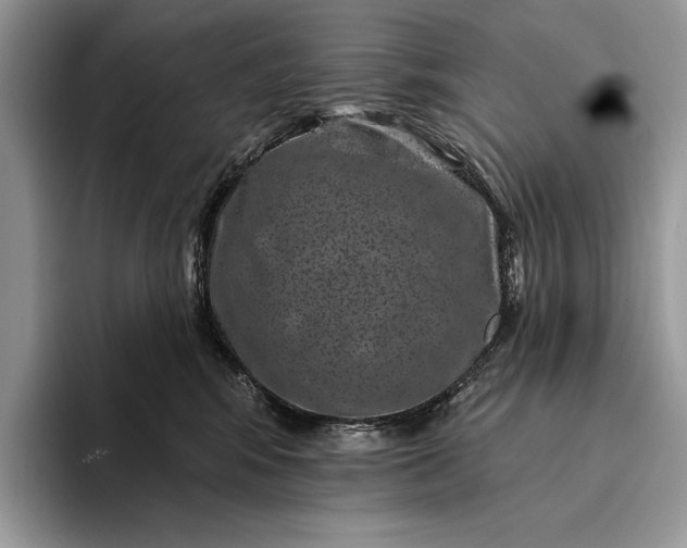 X0000094170424200711091127