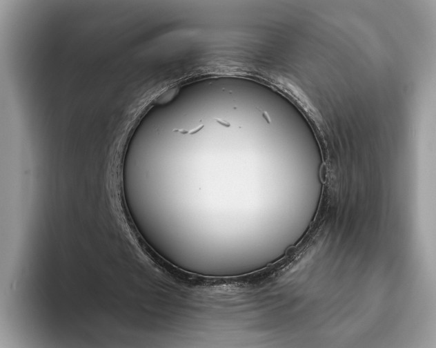 X0000094170433200711091127