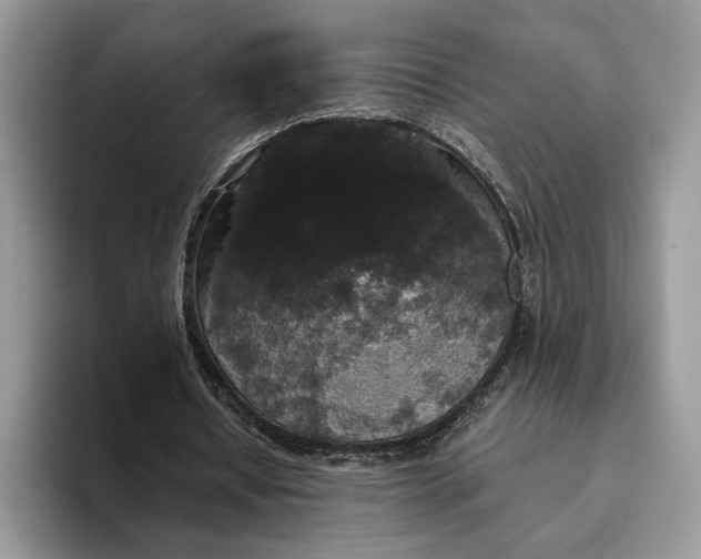 X0000094170434200711091127