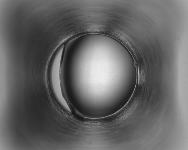 X0000094170435200711091127