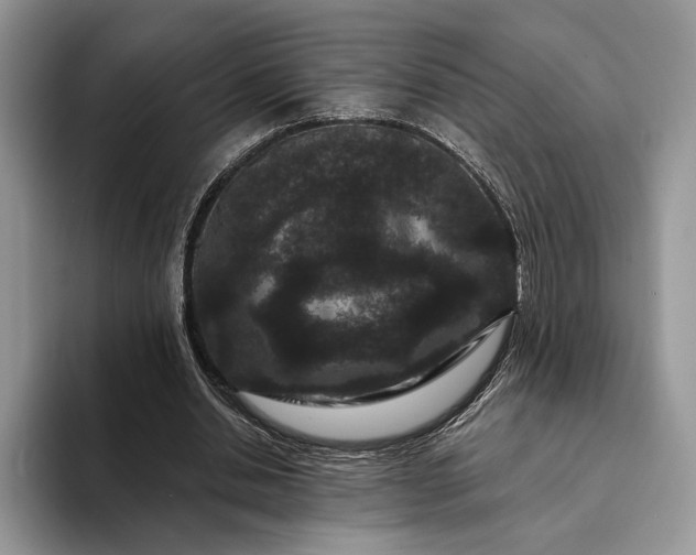 X0000094170438200711091127