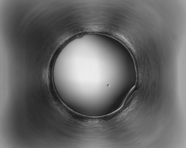 X0000094170439200711091127