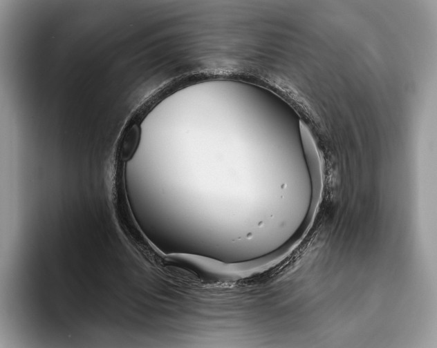 X0000094170440200711091127