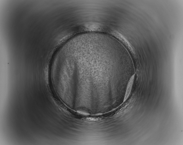 X0000094170442200711091127