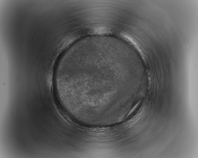 X0000094170443200711091127