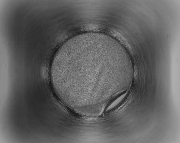 X0000094170449200711091127