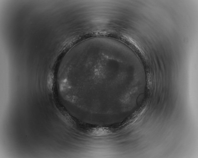 X0000094170451200711091127