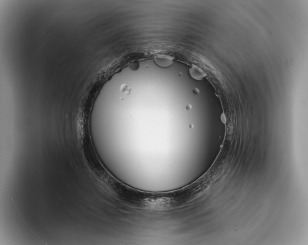X0000094170452200711091127