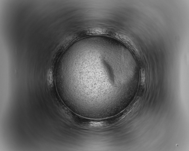 X0000094170457200711091127