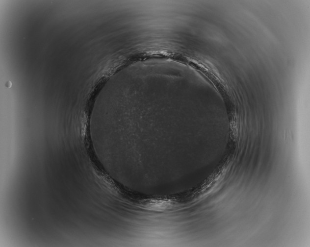 X0000094170458200711091127