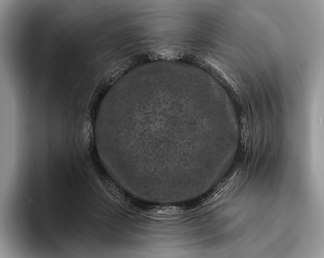 X0000094170459200711091127