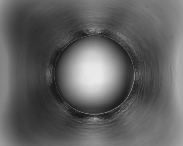X0000094170460200711091127
