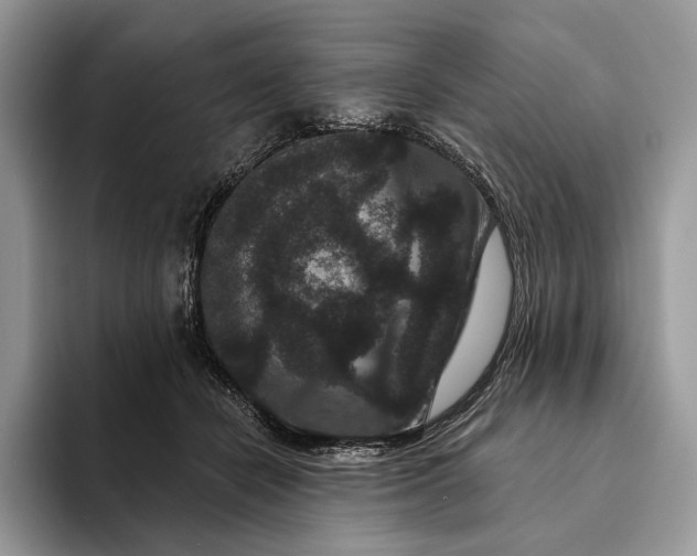 X0000094170462200711091127