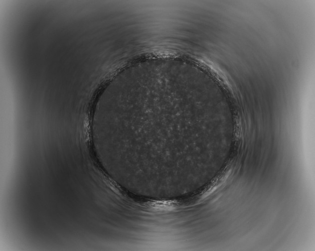 X0000094170465200711091127