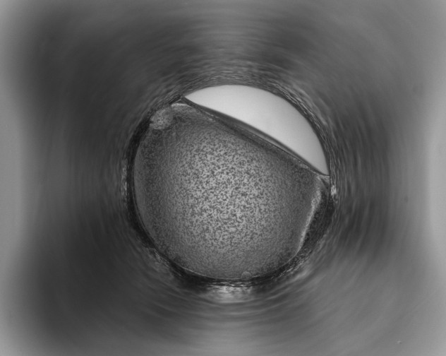 X0000094170466200711091127