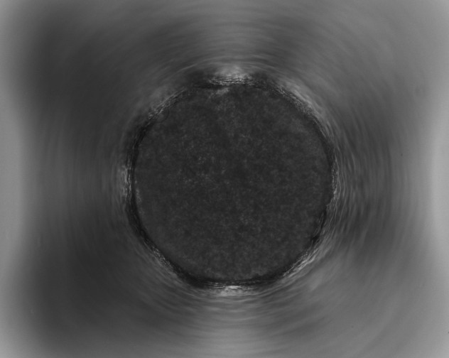 X0000094170467200711091127