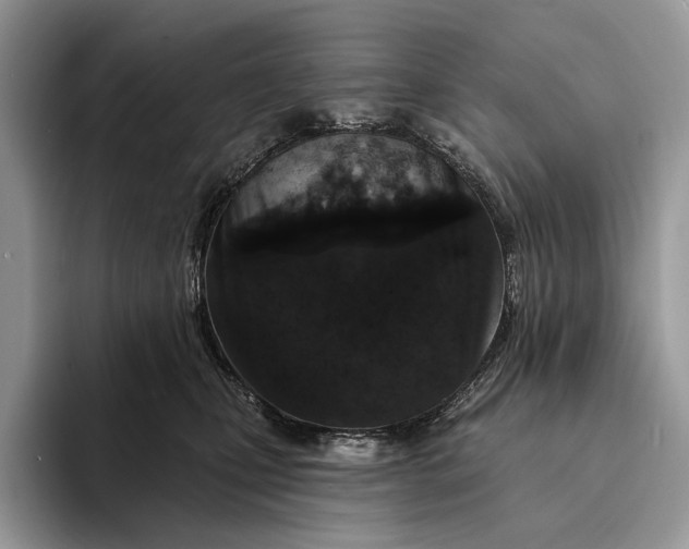 X0000094170471200711091127