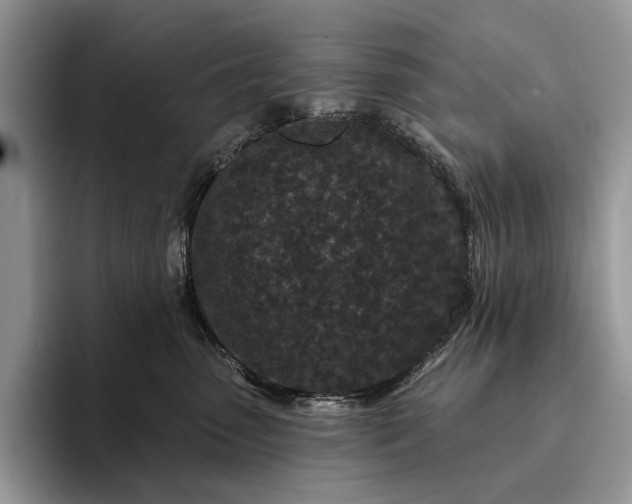 X0000094170475200711091127