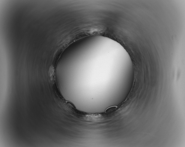 X0000094170480200711091127