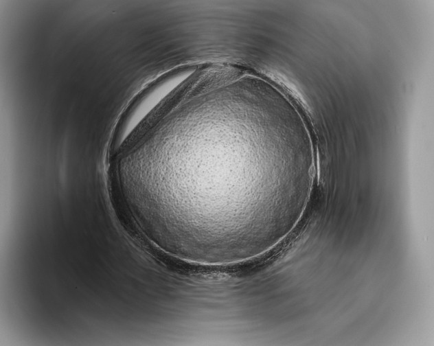 X0000094170483200711091127